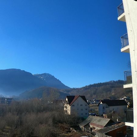 Panoramic Residence Зэрнешти Экстерьер фото