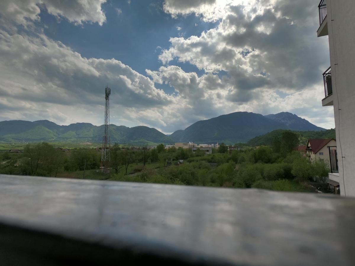 Panoramic Residence Зэрнешти Экстерьер фото