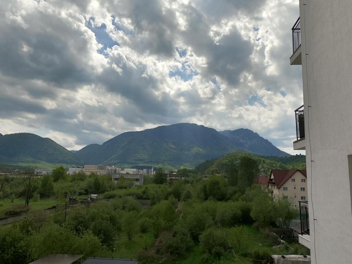 Panoramic Residence Зэрнешти Экстерьер фото