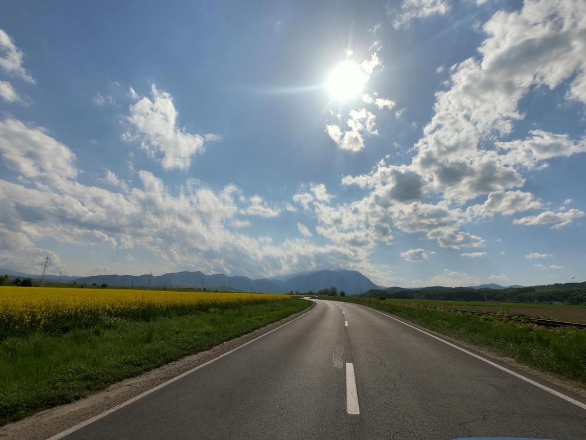 Panoramic Residence Зэрнешти Экстерьер фото