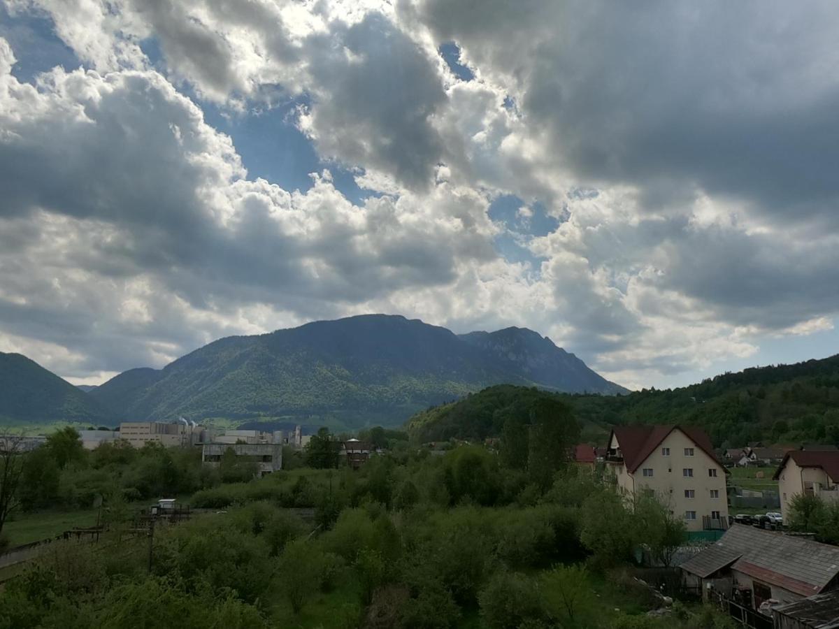 Panoramic Residence Зэрнешти Экстерьер фото