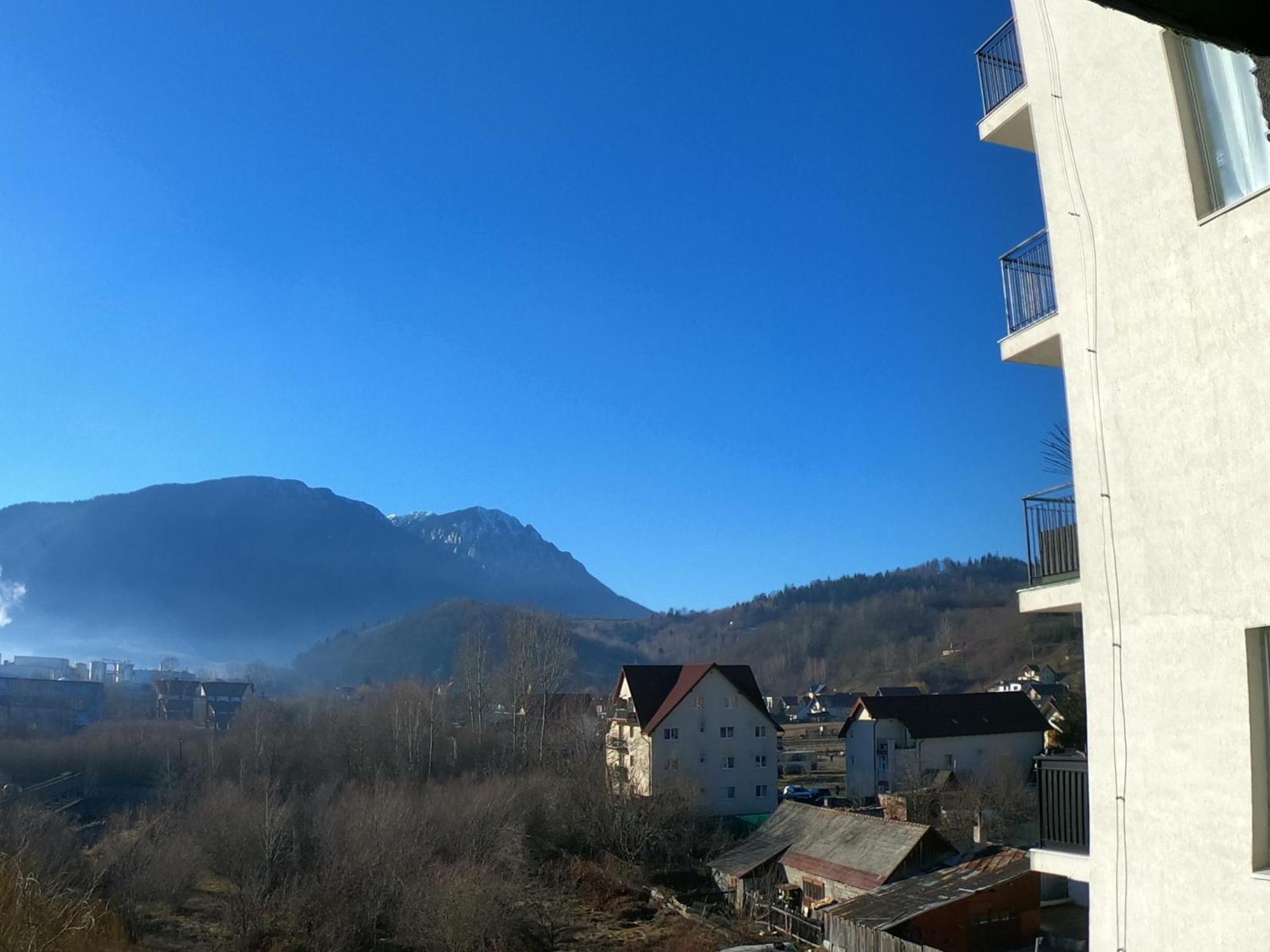Panoramic Residence Зэрнешти Экстерьер фото