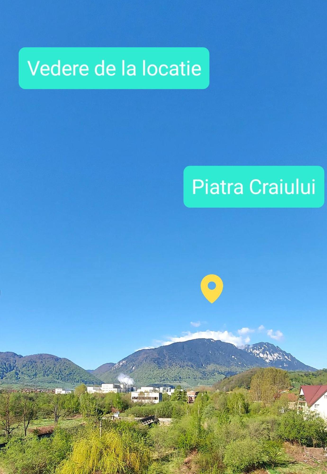 Panoramic Residence Зэрнешти Экстерьер фото